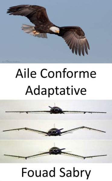 Aile Conforme Adaptative: Plus de volets, la forme de l'aile de l'avion se transforme maintenant