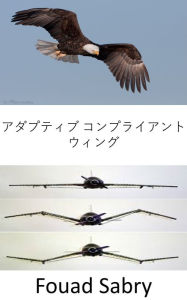 Title: Adaptive Compliant Wing: No more flaps, the aircraft wing shape is now morphing, Author: Fouad Sabry