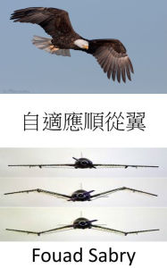 Title: Adaptive Compliant Wing: No more flaps, the aircraft wing shape is now morphing, Author: Fouad Sabry