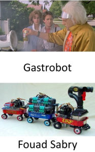 Title: Gastrobot: Ihtiyaci olan tüm enerjiyi gerçek gidanin sindirilmesinden alan yapay zekaya sahip bir mide robotu, Author: Fouad Sabry