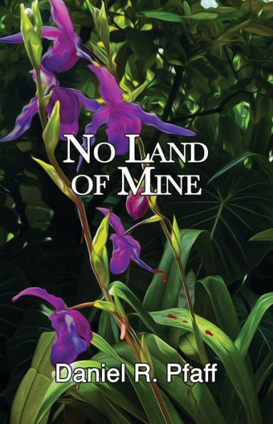 No Land of Mine (A Miranda Fetting Mystery, #1)