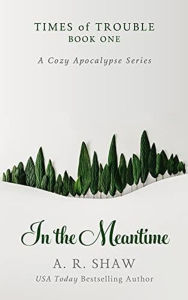 Title: In the Meantime (Times of Trouble, #1), Author: A. R. Shaw