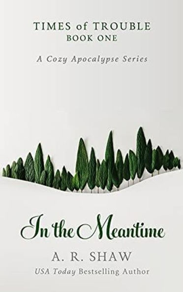 In the Meantime (Times of Trouble, #1)