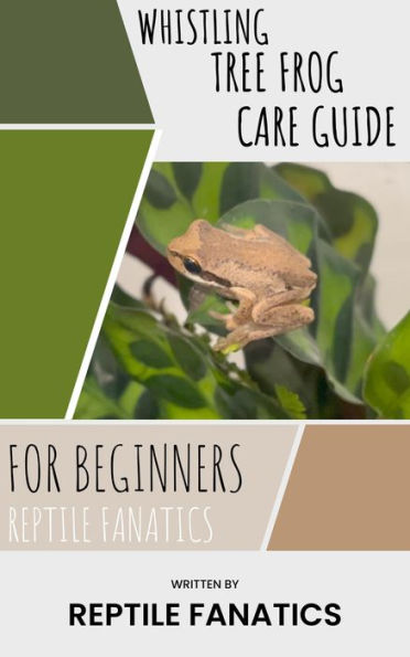 Whistling Tree Frog Care Guide for Beginners