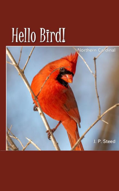 Northern Cardinal (Hello Bird!) by J. P. Steed | eBook | Barnes & Noble®