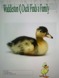 Title: Waddlston Q Duck Finds a Family (Waddleston Q Duck, #1), Author: Ron Doak