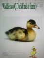 Waddlston Q Duck Finds a Family (Waddleston Q Duck, #1)