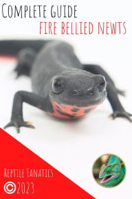 Title: Complete Guide Fire Bellied Newts, Author: Reptile Fanatics