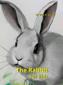 The Rabbit for Kids (Cool Animals for Kids, #5)