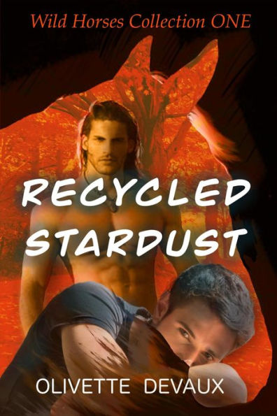 Recycled Stardust - Wild Horses Collection One