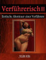 Verführerisch III (Sexductor, #3)