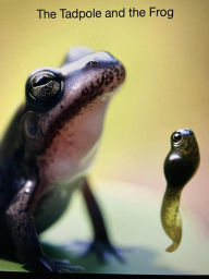 Title: The Tadpole and the Frog, Author: Quicksilver