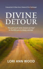Divine Detour: The Path You'd Never Choose can Lead to the Faith You've Always Wanted