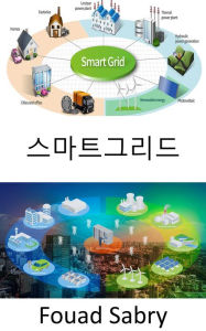 Title: Smart Grid: Exchanging electricity and information between homes and power plants, Author: Fouad Sabry
