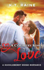 A Country Kind of Love (Huckleberry Ridge Romance, #1)