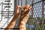 View from a Cage: My Transformation from Convict to Crusader for Liberty