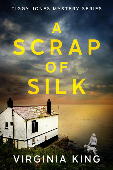 A Scrap of Silk (Tiggy Jones Mystery Series, #1)