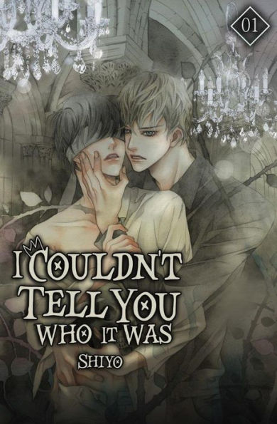 I Couldn't Tell You Who It Was Vol. 1 (novel)
