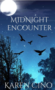 Title: Midnight Encounter, Author: Karen Cino