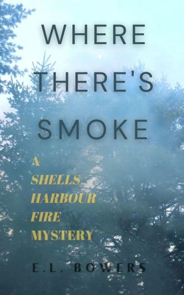 Where There's Smoke (A Shells Harbour Fire Mystery, #1)
