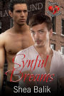 Synful Dreams (Syn's Playground, #1)