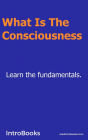 What is the Consciousness