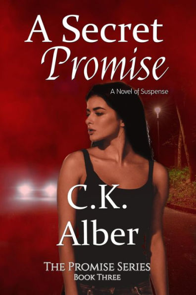 A Secret Promise (The Promise Series, #3)