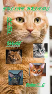 Title: Feline Breeds Of The World, Author: Nicolaas