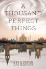 A Thousand Perfect Things