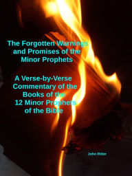 Title: The Forgotten Warnings and Promises of the Minor Prophets A Verse-by-Verse Commentary of the Books of the 12 Minor Prophets of the Bible, Author: john ritter