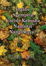 Title: Ingabe Ngempela Uzelwe Kabusha Namanzi NangoMoya?, Author: Paul C. Jong