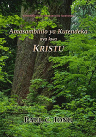 Title: Icitetekelo ca fyo Abatumwa ba Suminemo: Amasambililo ya Kutendeka aya kwa Kristu, Author: Paul C. Jong