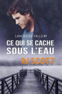 Ce qui se cache sous l'eau