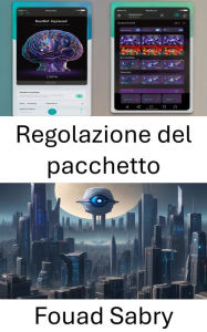 Title: Regolazione del pacchetto: Ottimizzazione dei dati visivi per una ricostruzione precisa, Author: Fouad Sabry