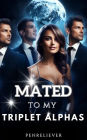 Mated to My Triplet Alphas: Book 2