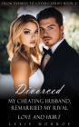 Divorced My Cheating Husband and Remarried My Rival: Love and Hurt