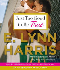 Just Too Good to Be True: A Novel