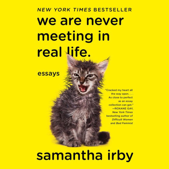 We Are Never Meeting in Real Life: Essays