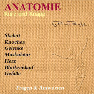 Anatomie kurz und knapp: Fragen & Antworten