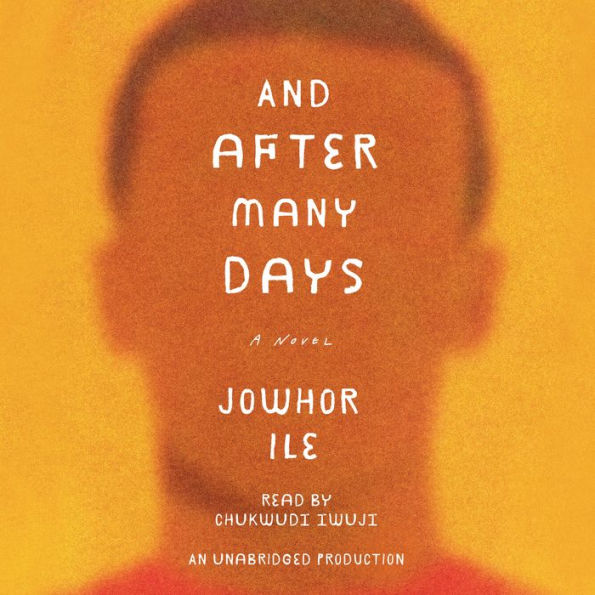 And After Many Days: A Novel