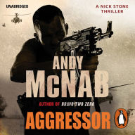 Aggressor: (Nick Stone Thriller 8)