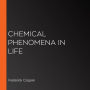 Chemical Phenomena in Life