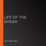 Life of the Spider