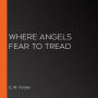 Where Angels Fear to Tread