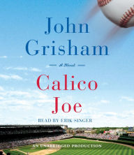 Calico Joe: A Novel