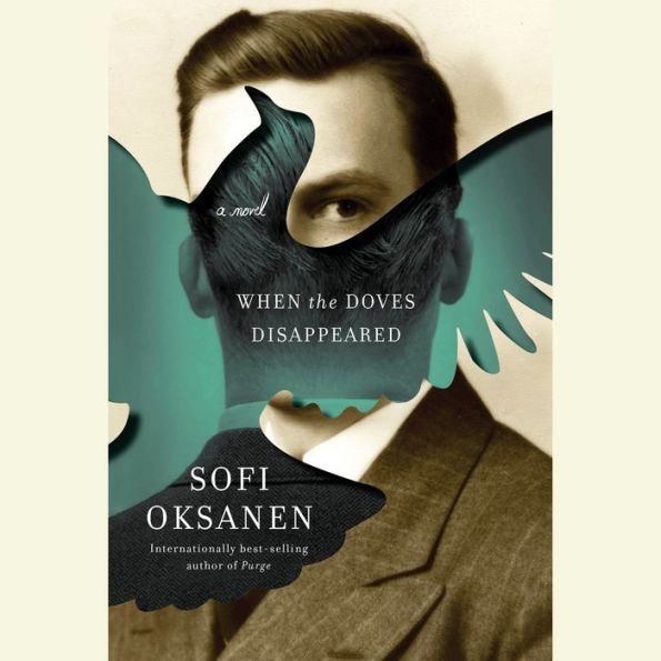 When the Doves Disappeared: A novel