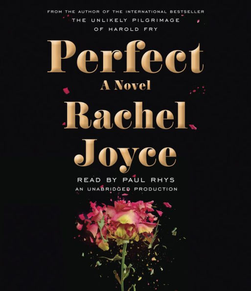 Perfect: A Novel