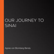 Our Journey to Sinai