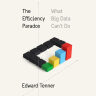 The Efficiency Paradox: What Big Data Can't Do