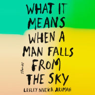 What It Means When a Man Falls from the Sky: Stories